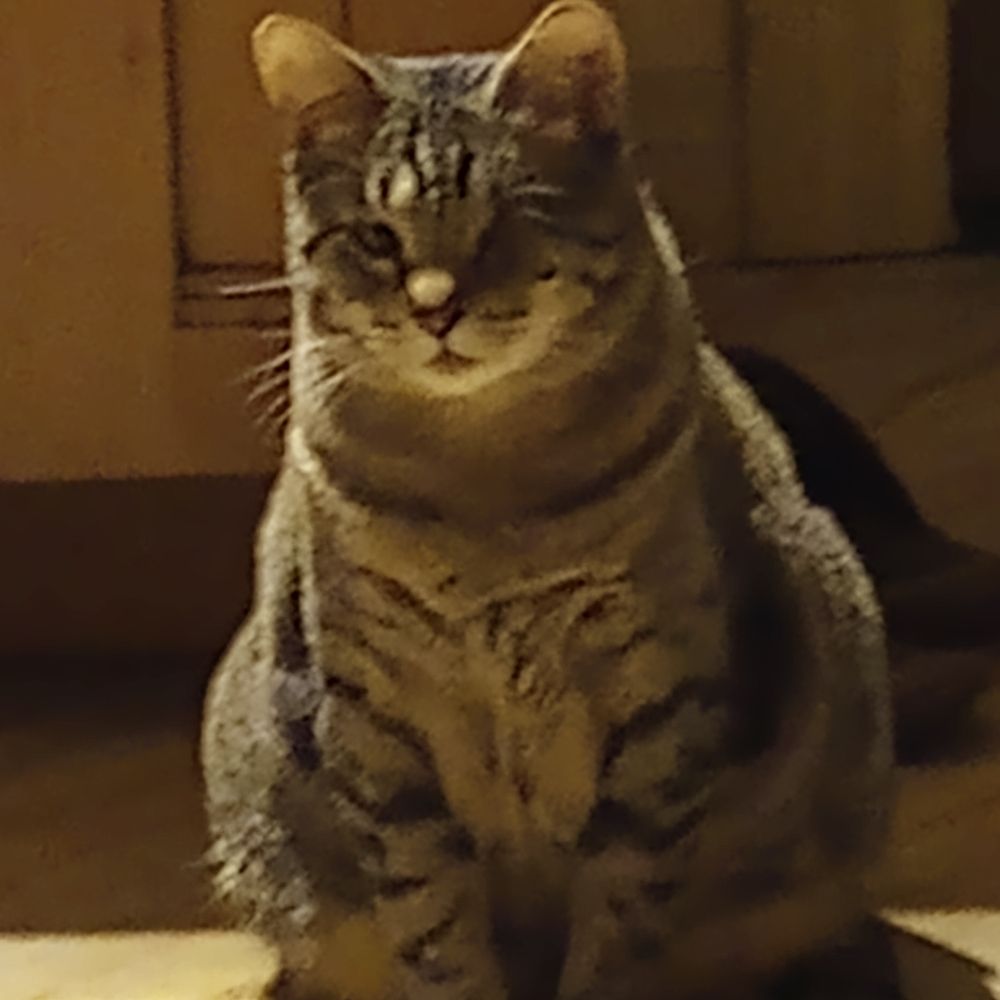 Sheldon