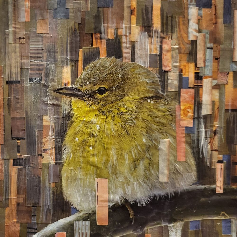aplpaca_art