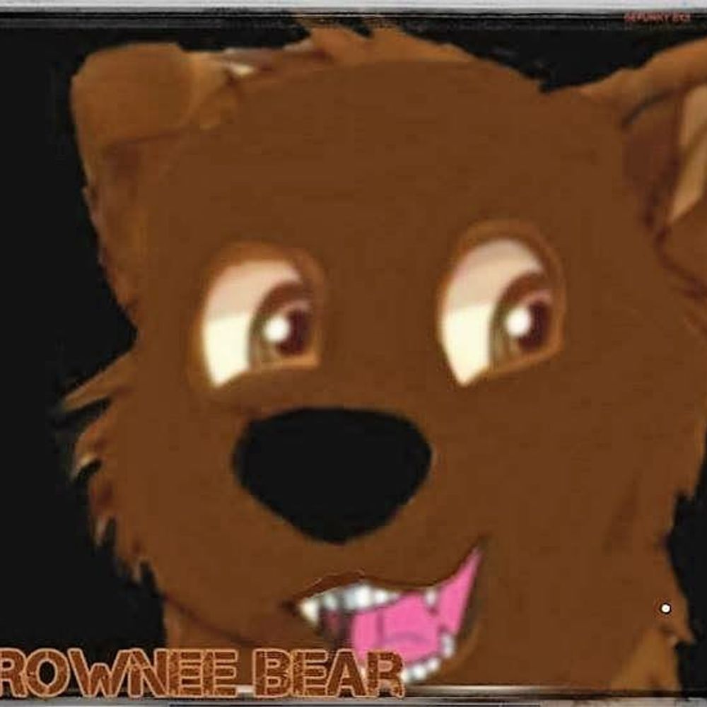 S.H. Aka Brownee Bear the friendly bear 