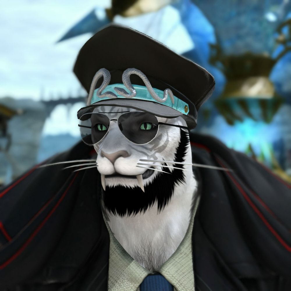 Thales the Cat