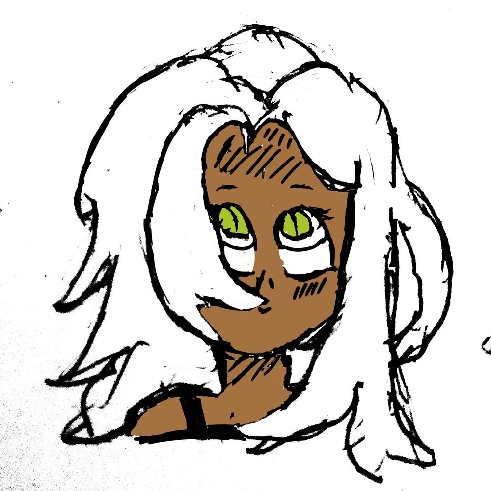 skyfireintetests.bsky.social profile picture