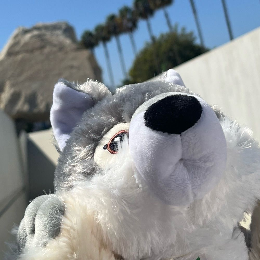 LostMutt