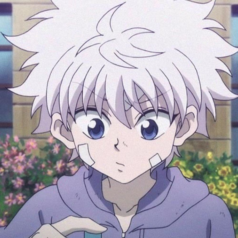 Zef