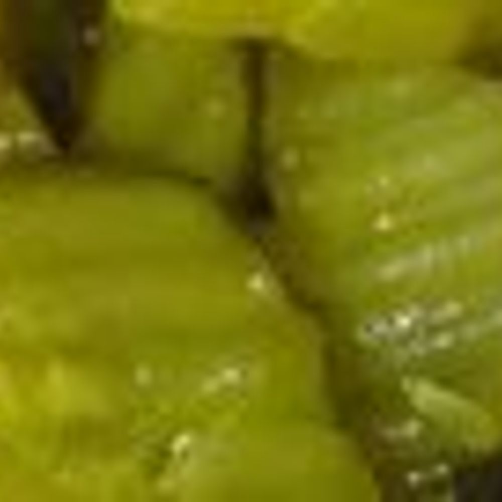 Cevne