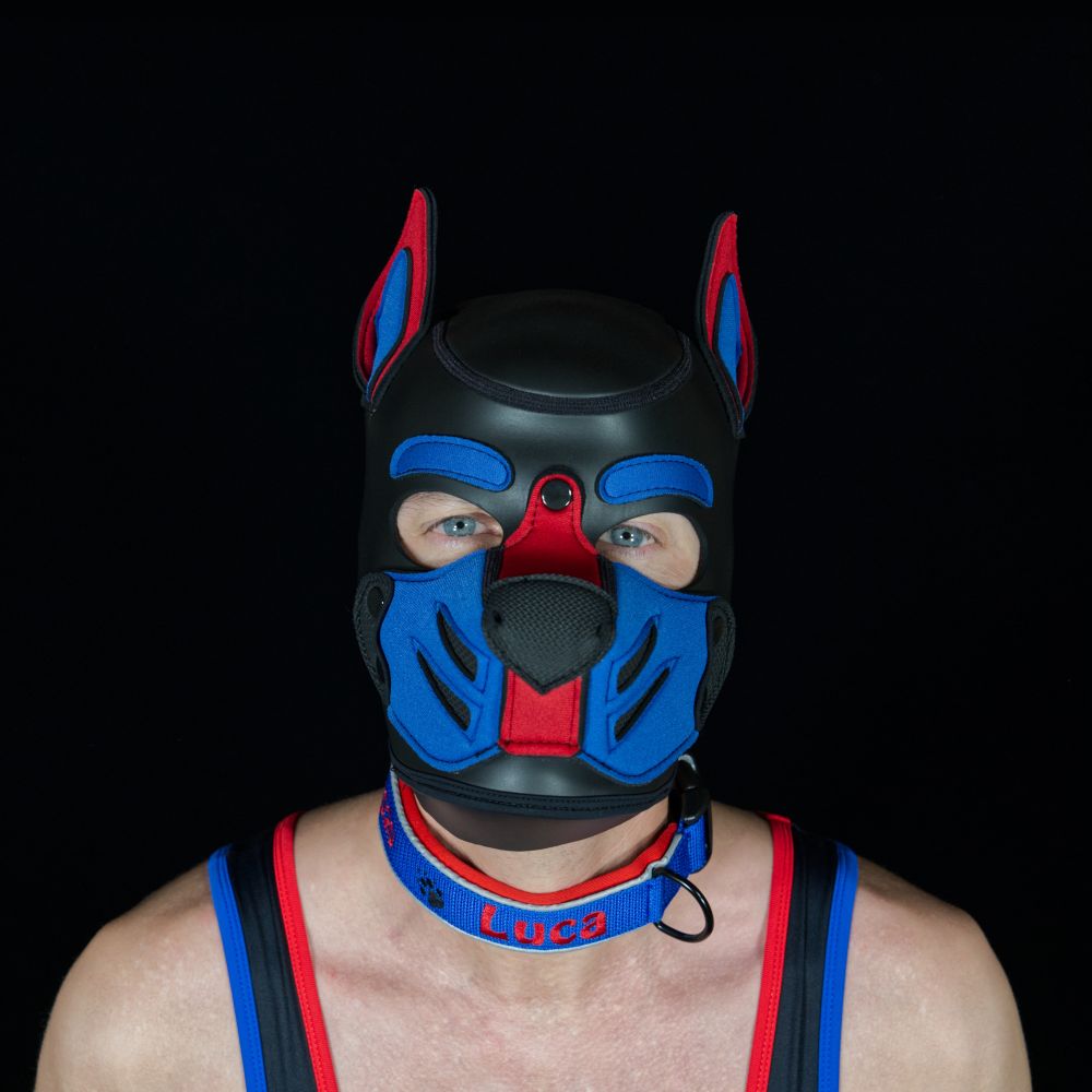 Pup Luca