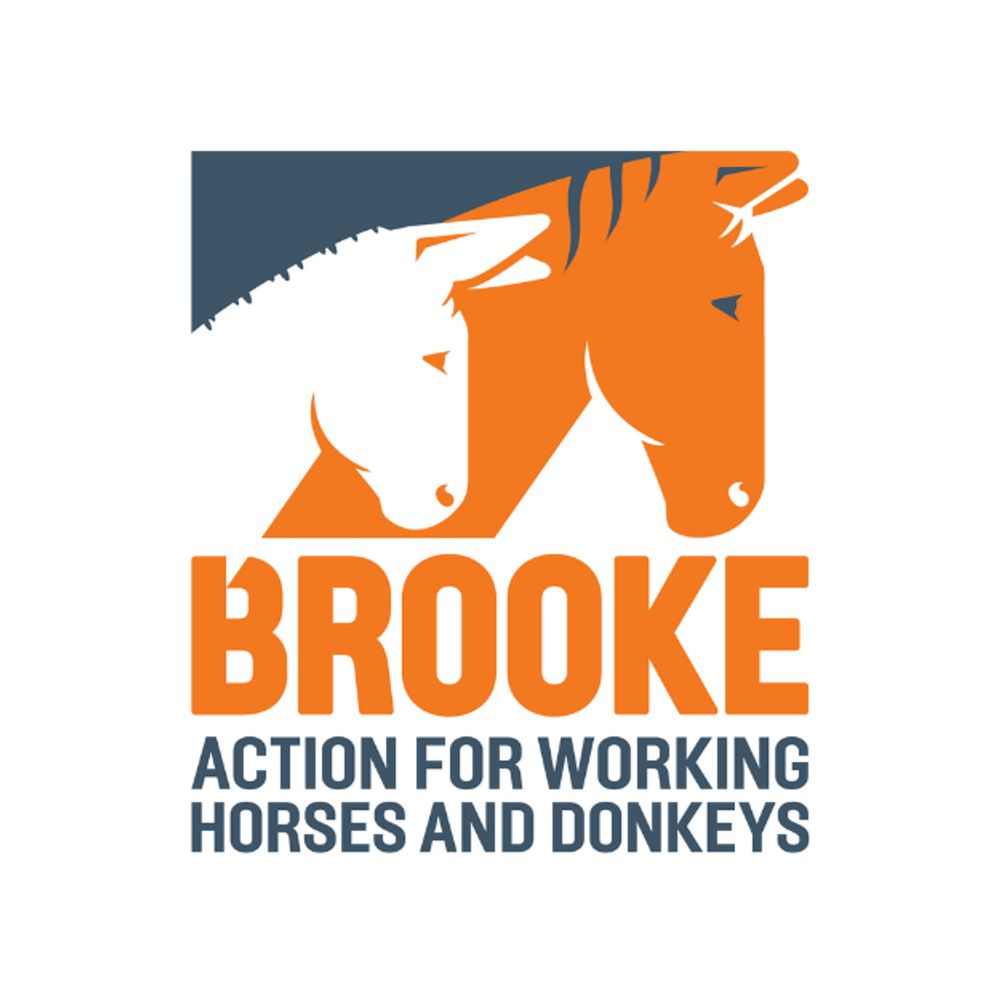 Brooke Action for Working Horses and Donkeys
