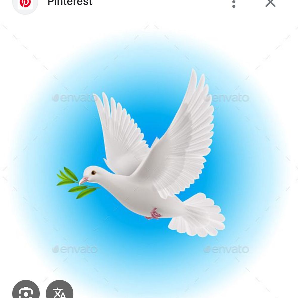sheri89.bsky.social on Bluesky