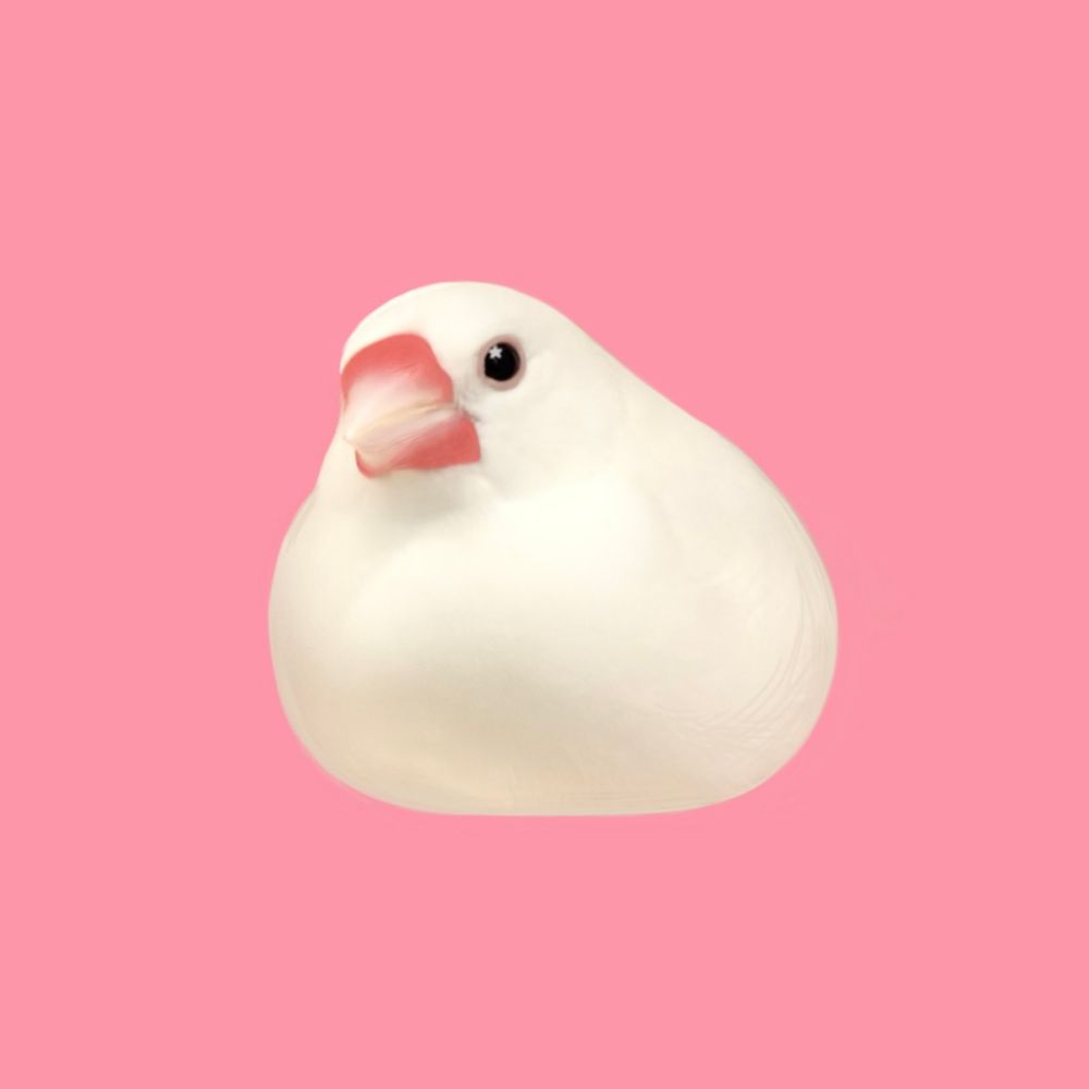 ᴄʜᴇʀʀʏ 𓅫