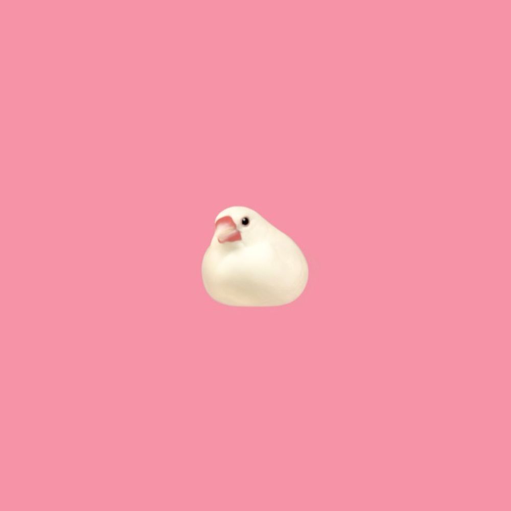 ᴄʜᴇʀʀʏ 𓅫