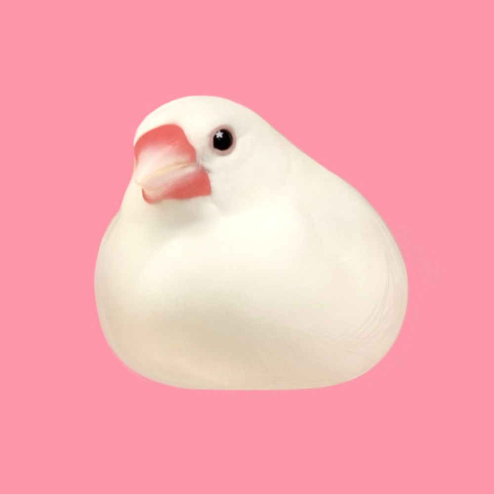 ᴄʜᴇʀʀʏ 𓅫