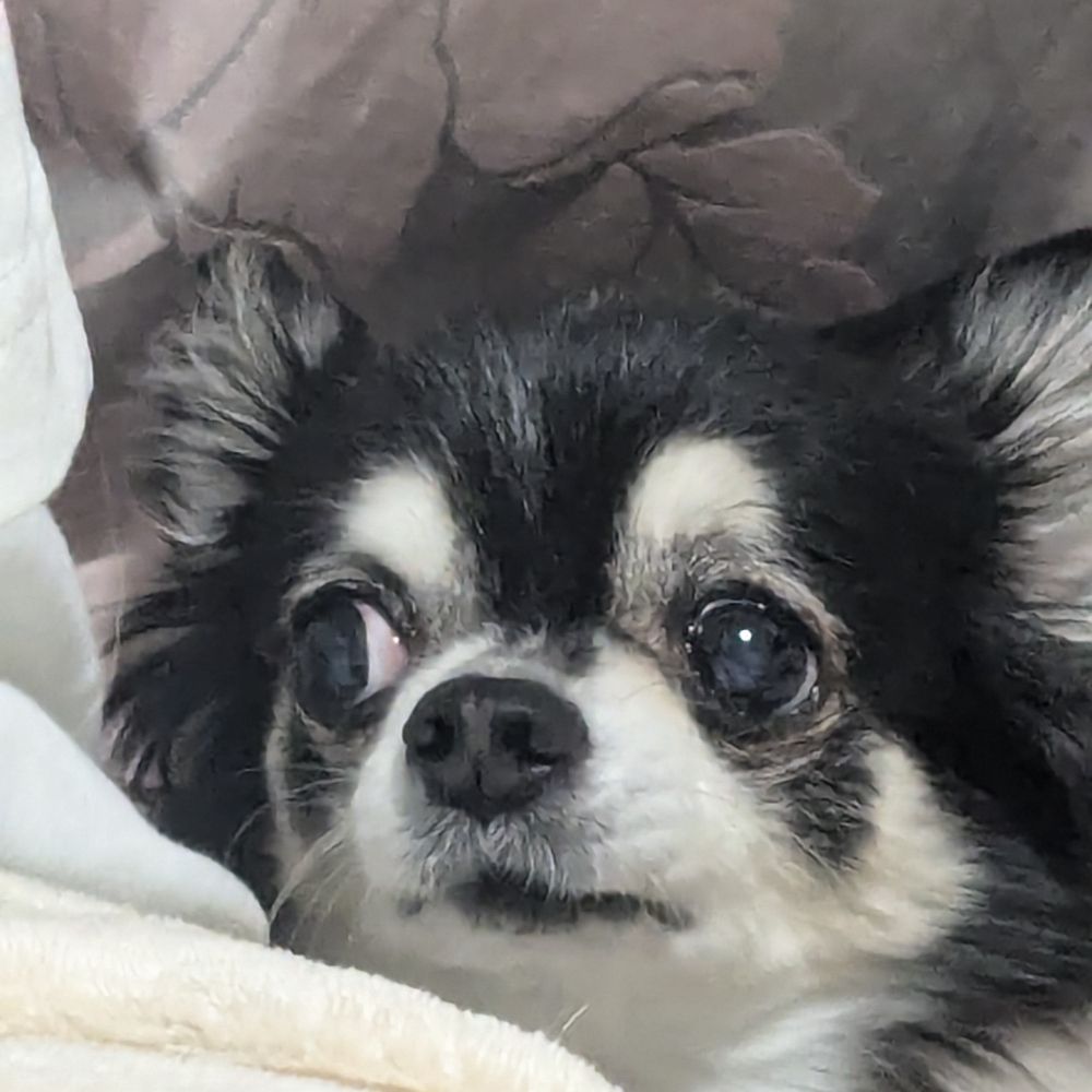 走れ🏃安眠次郎