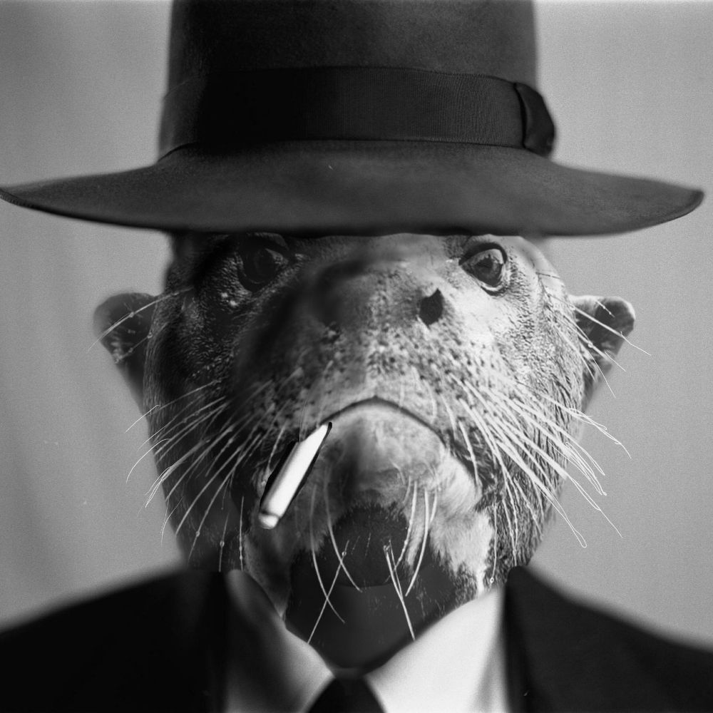 Markus Tribute Otter Makovi