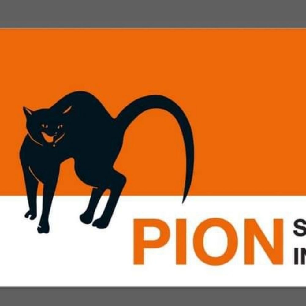 PION sexarbeideres interesseorganisasjon