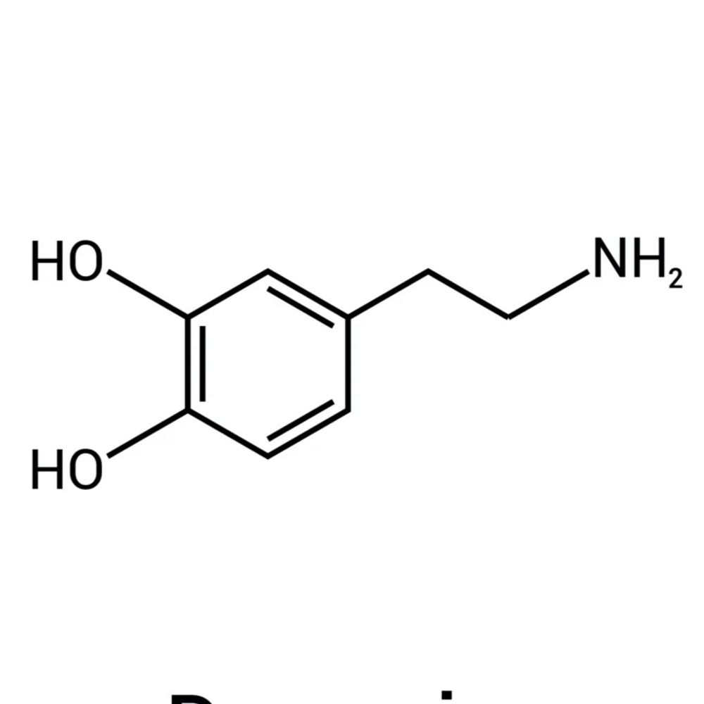 js