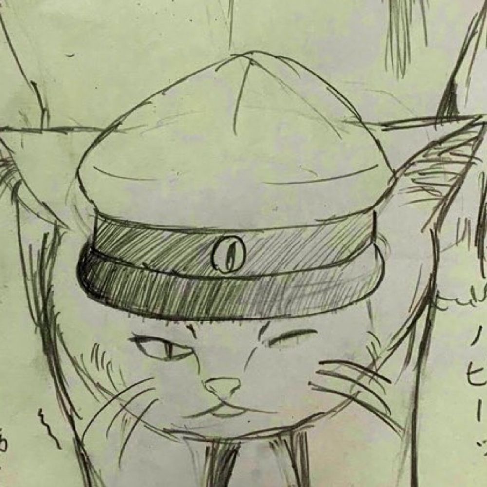 不屈猫目