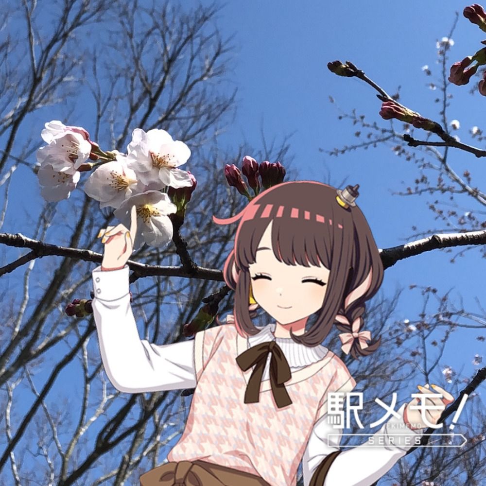A. azuki