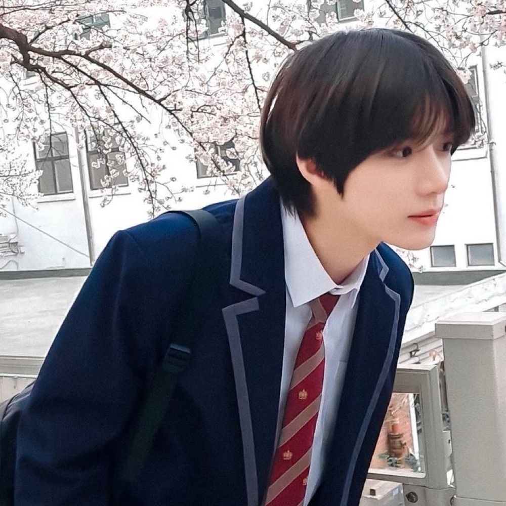 모기