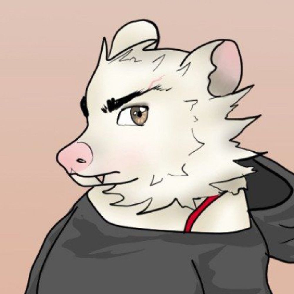 Charlie Possum