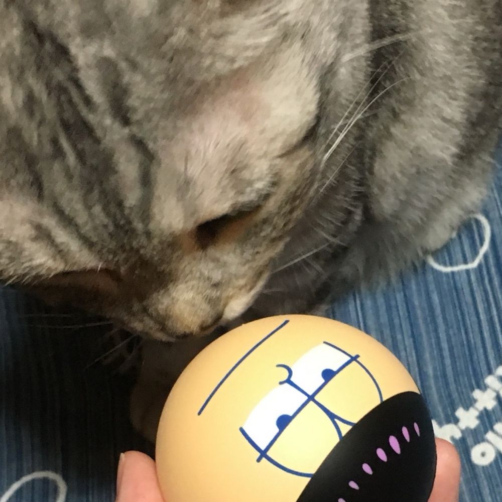 タナカ