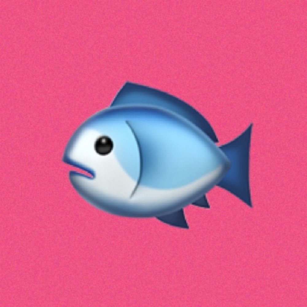 🐟