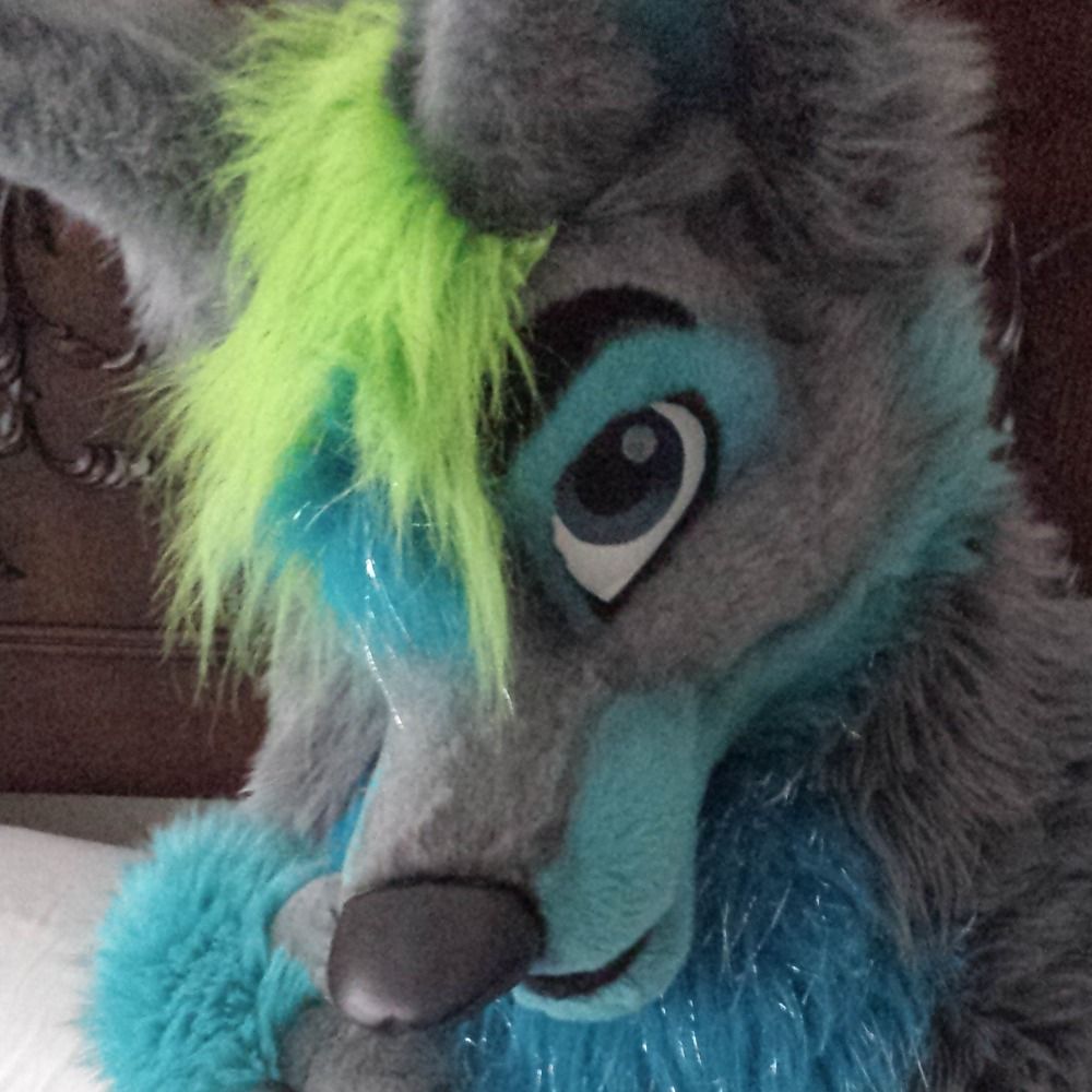 Knotty Doggo