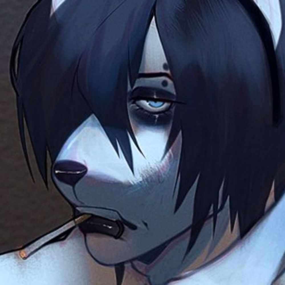 bunny🔞🐻‍❄️ (new dog father arc)'s avatar