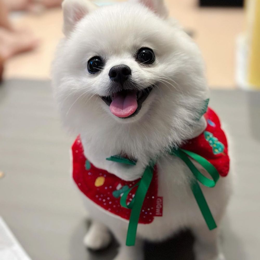 태동현