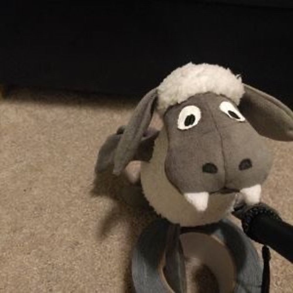 Sheep Bat