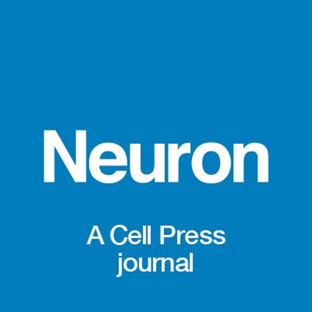 Neuron