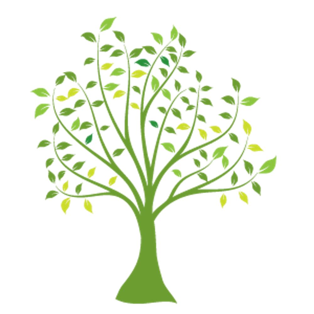 Australia and New Zealand Falls Prevention Society