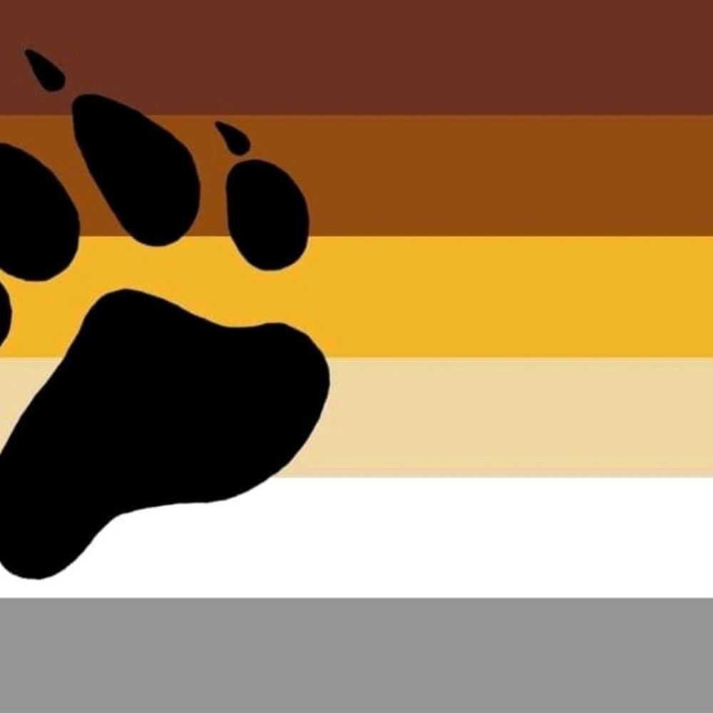 BigbearRx