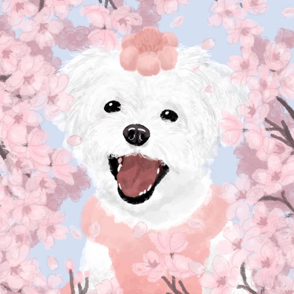 동이네
