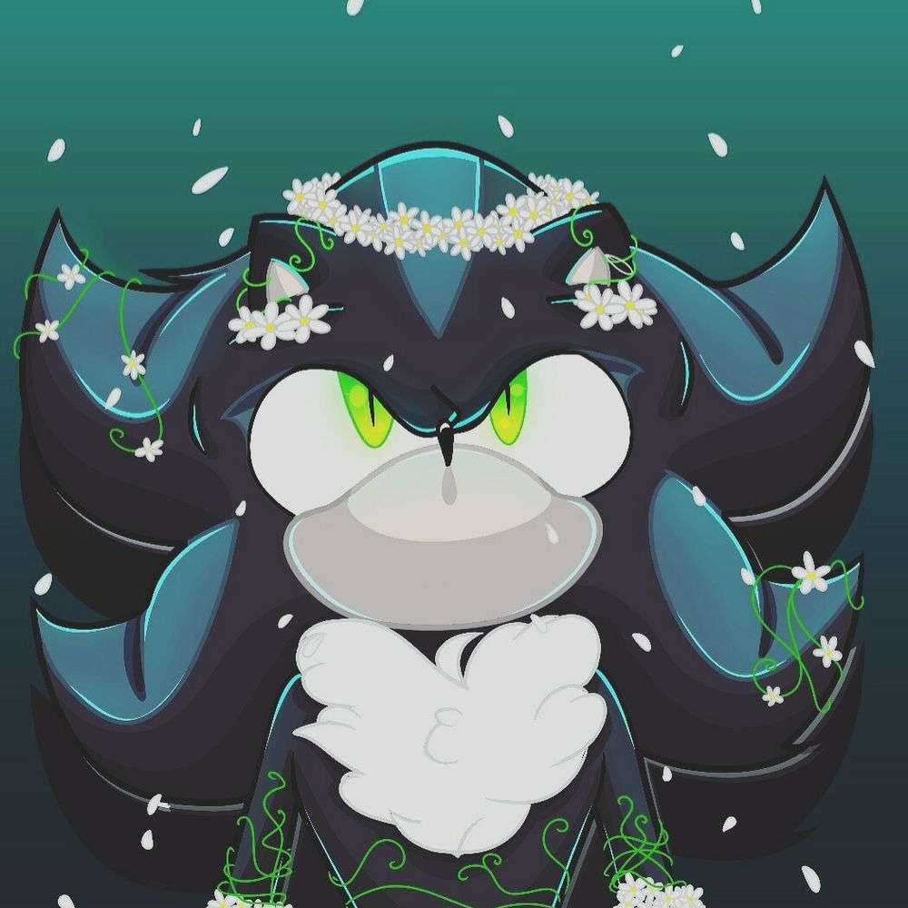 Unicskkj(Mephiles #1Fan)