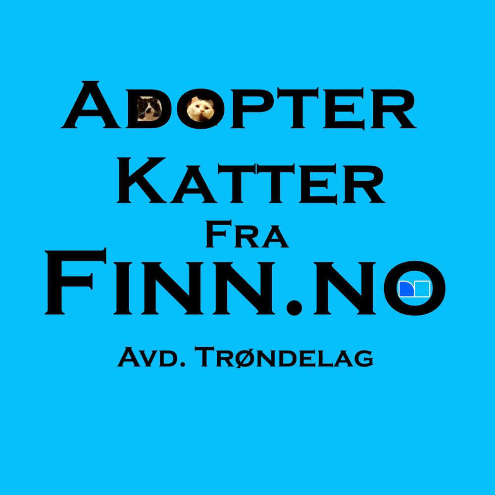 Adopter Katter fra Finn