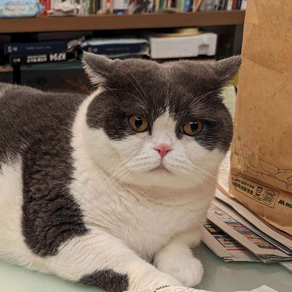 有貓就讚癌：末期🐈💊💉