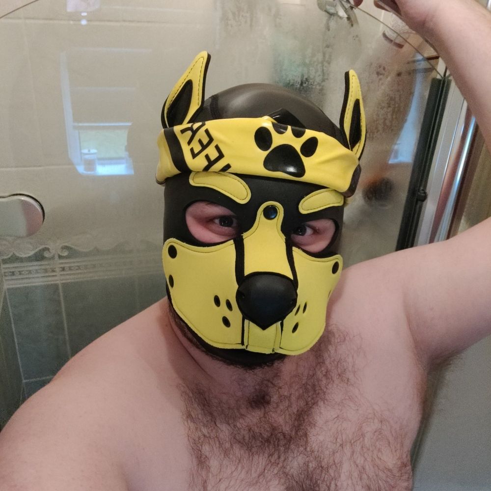 Pup Luci