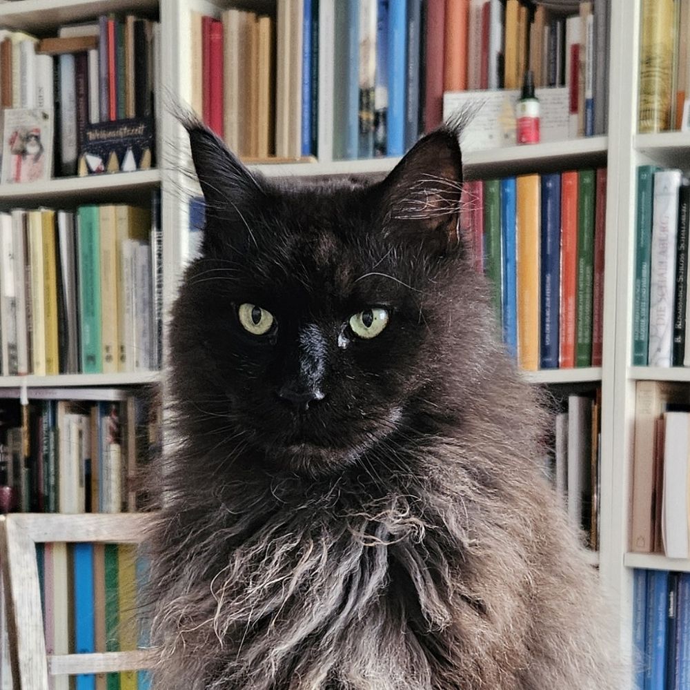 Konrad Katz von Katzenstein