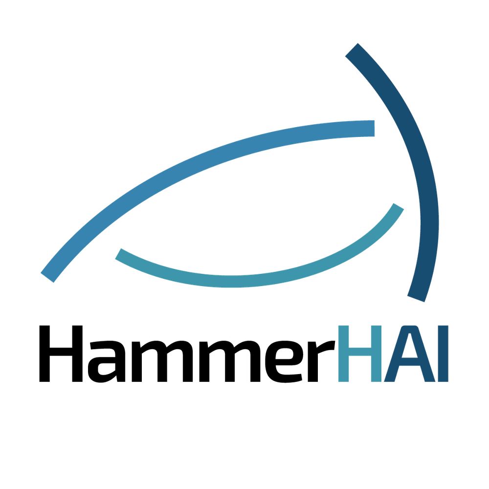 HammerHAI