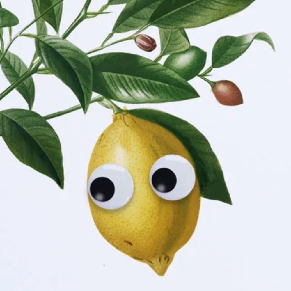 Yuzu