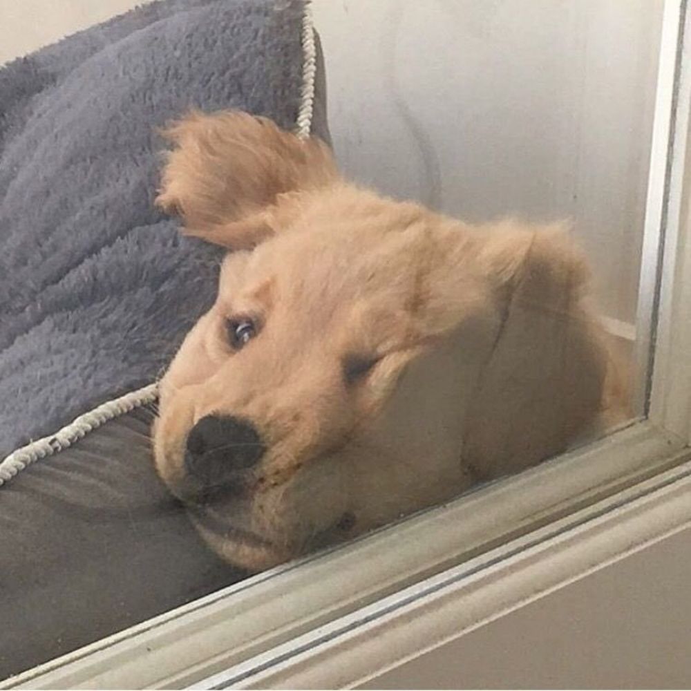 해인