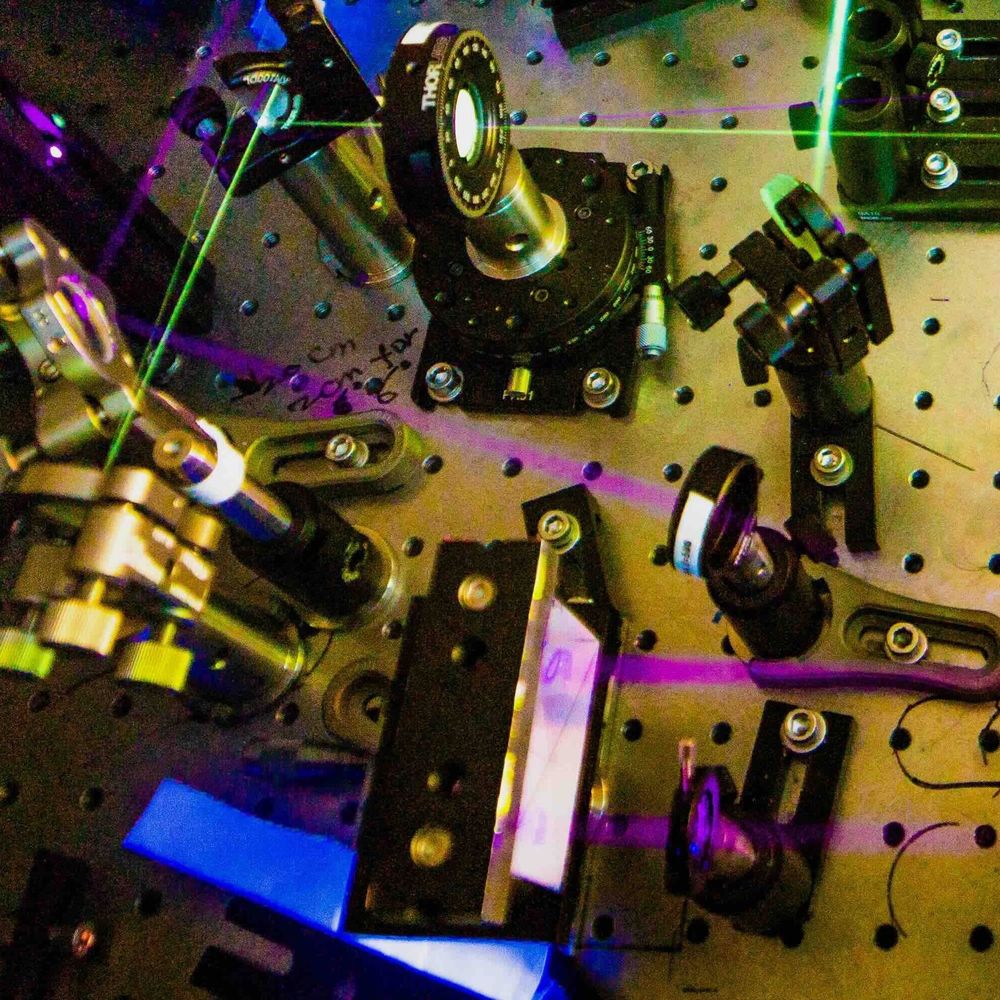 Ogilvie Lab at the University of Ottawa