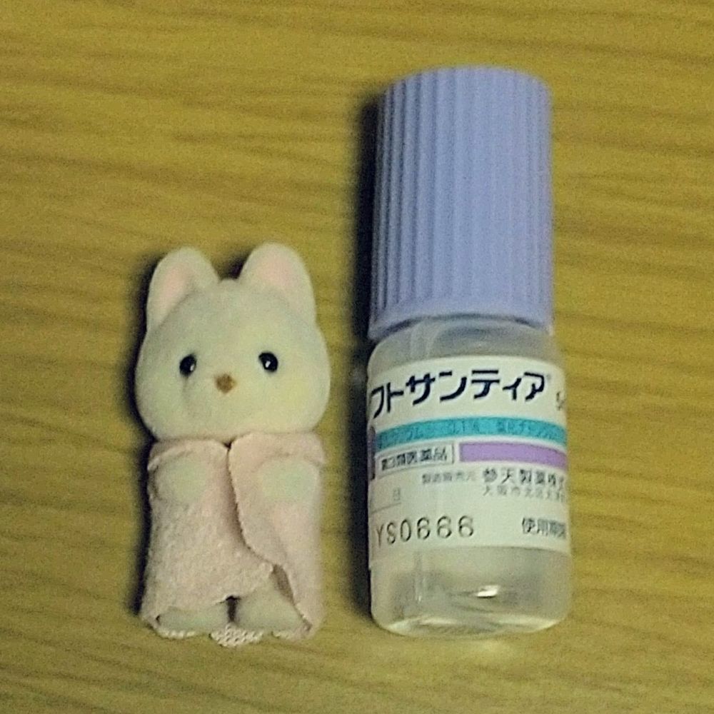おとり