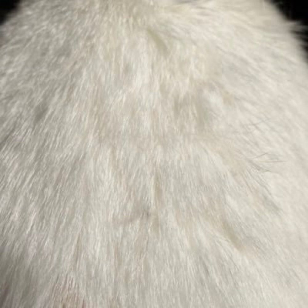 na