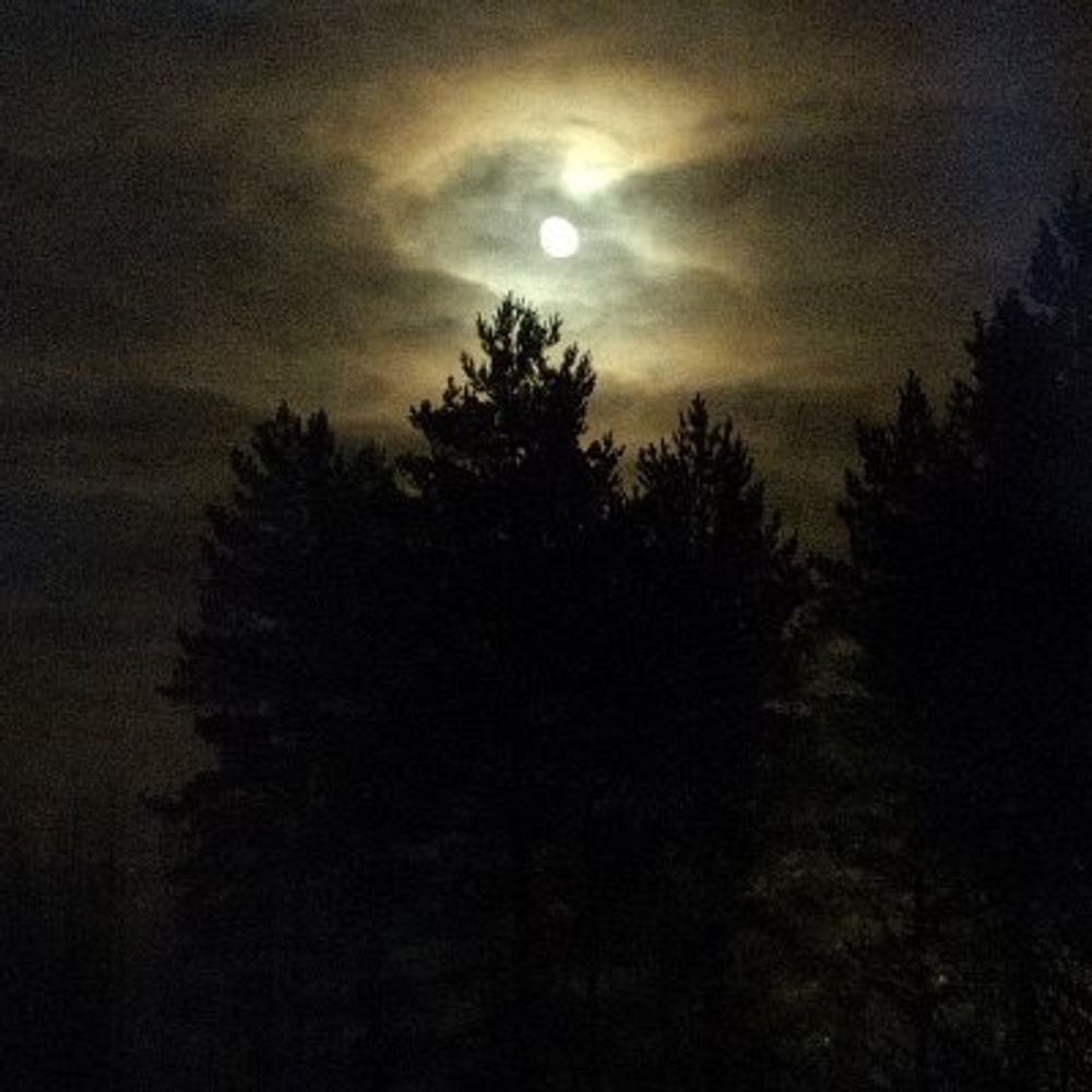 Vanha Pöllö