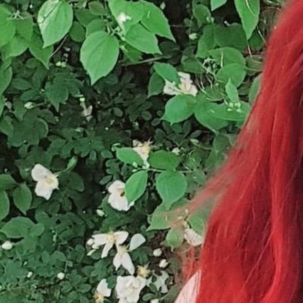 Fae