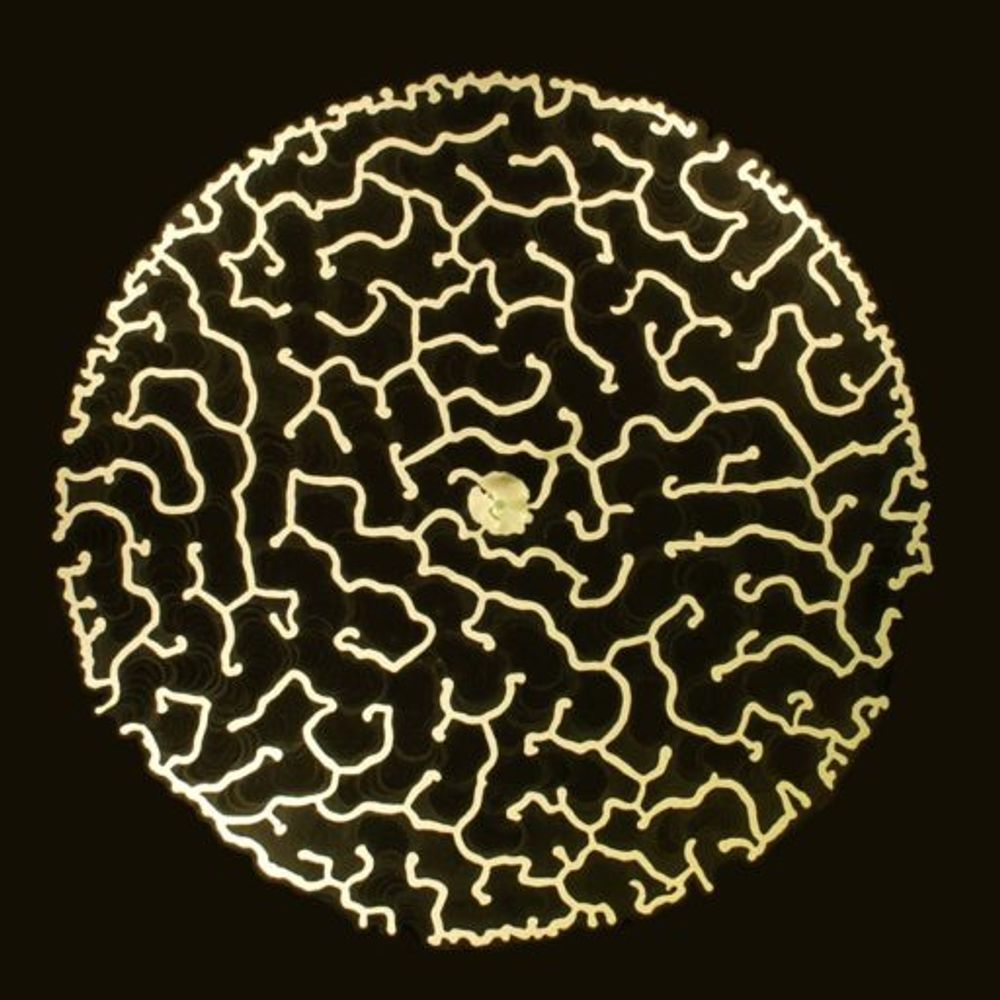PoreLab