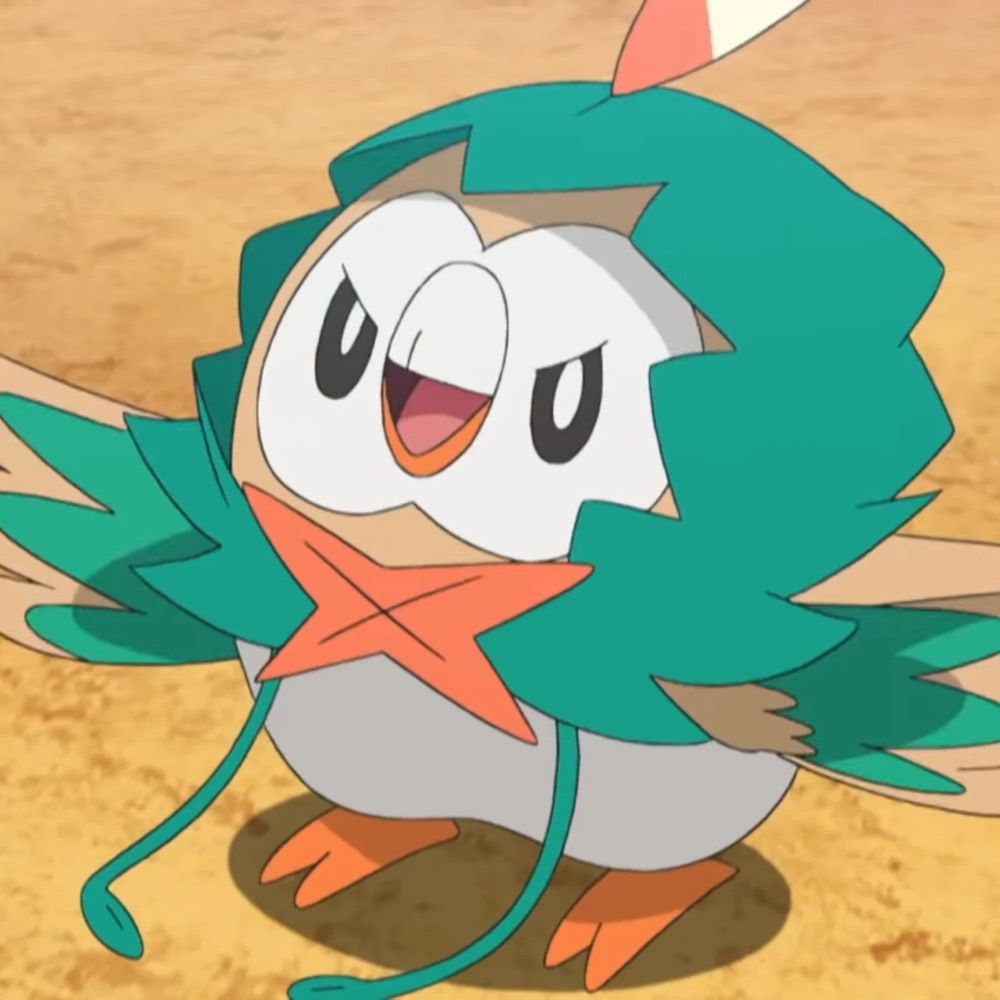 Everyones Favorite Rowlet