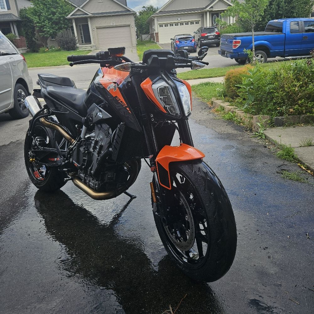 freepalestine07.bsky.social