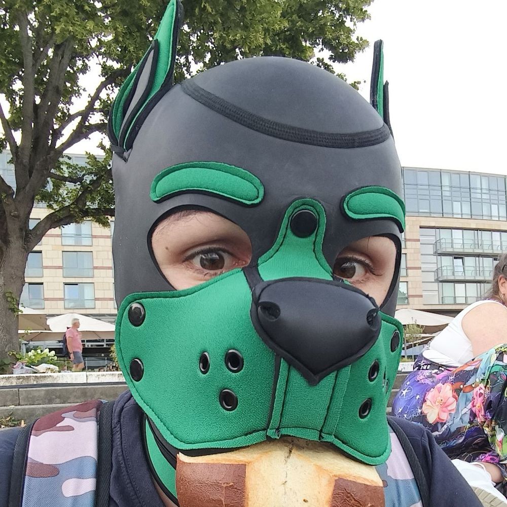 PuP-Szarik
