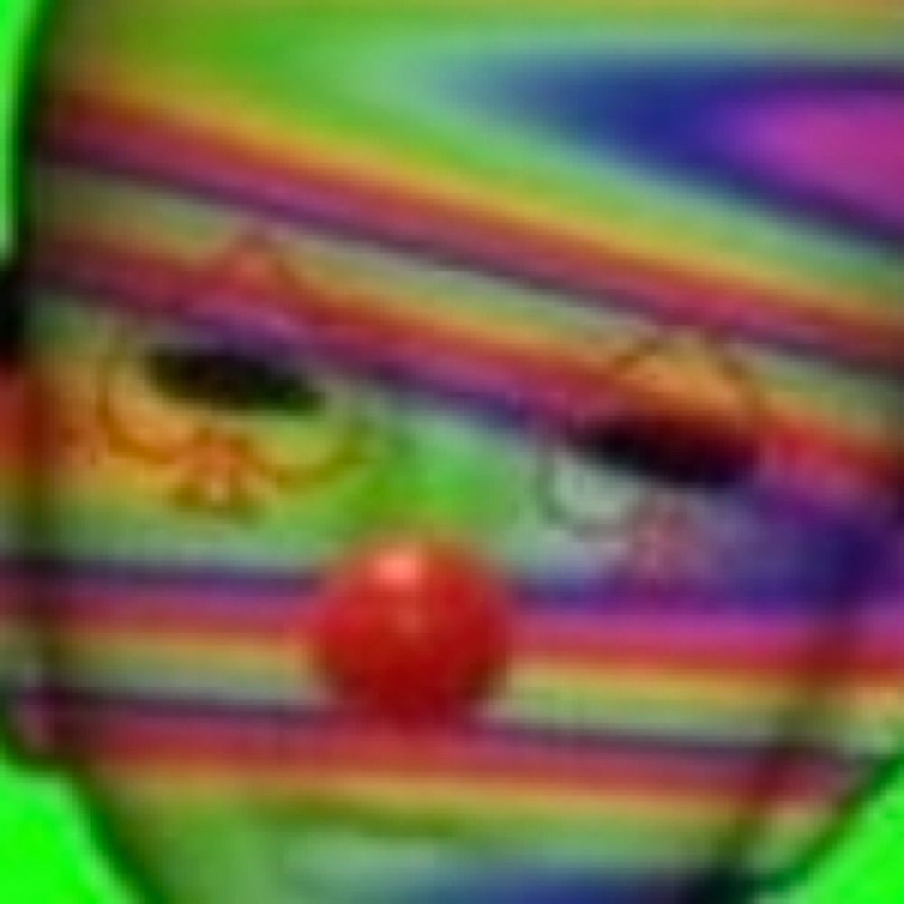 모토